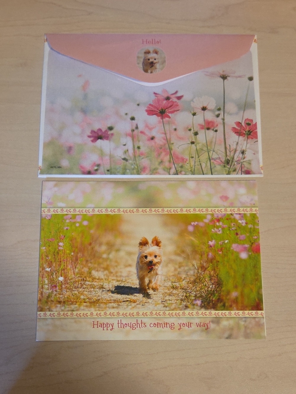 Shutterstock Greeting Card Set with Envelope - Small Dog and Flowers